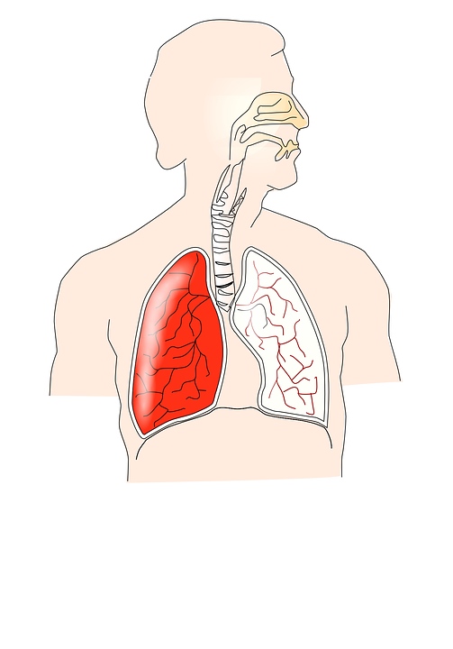 双肺间质性肺水肿严重什么原因导致双肺间质性肺水肿的产生